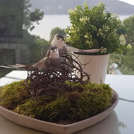 아파트 Deluxe Dina