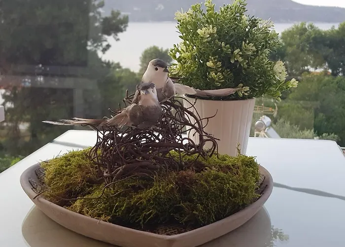 Lejlighed Deluxe Dina